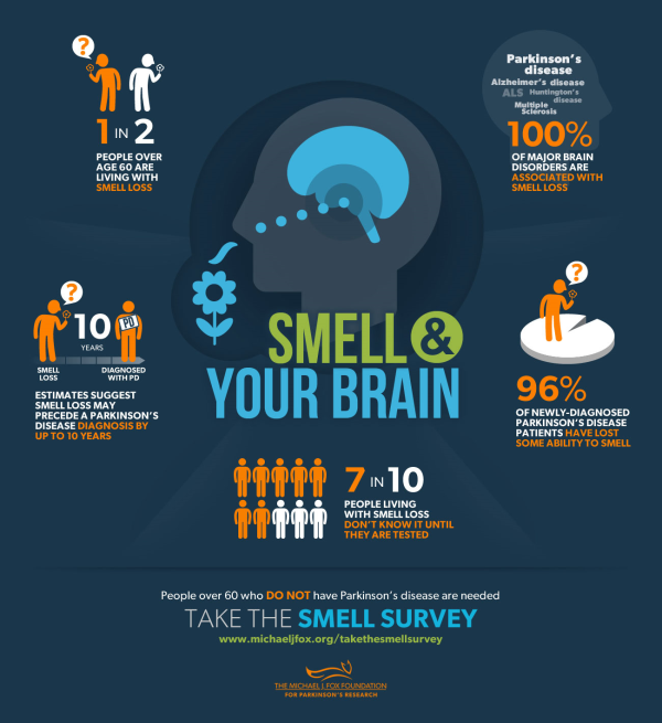 smell infographic