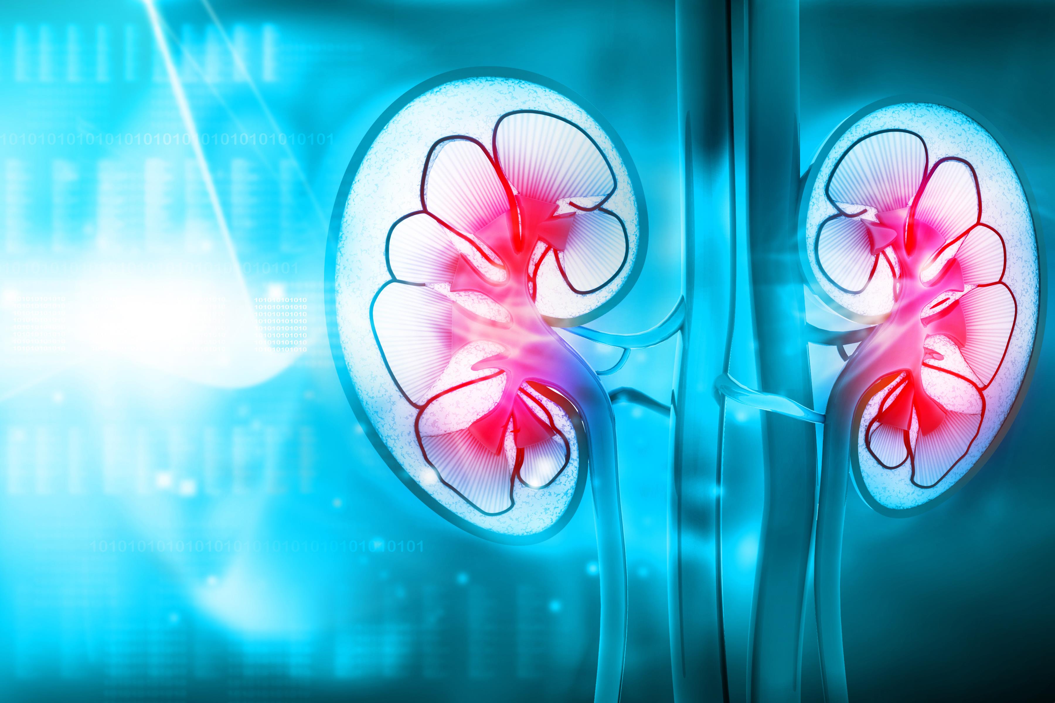 Does Kidney Disease Affect Diabetes